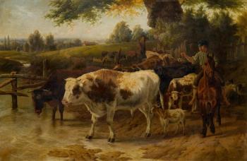 Cattle at Stream