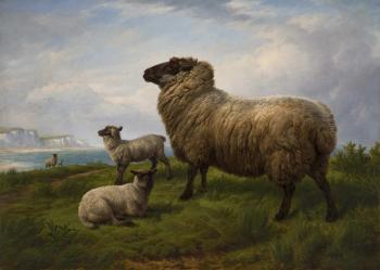 Sheep (Single)