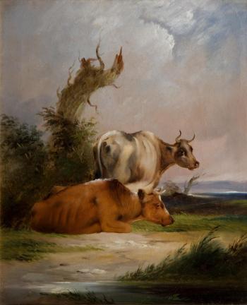 Cows (White Cow Standing)
